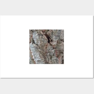 Cork Oak Tree Bark Texture 4 Posters and Art